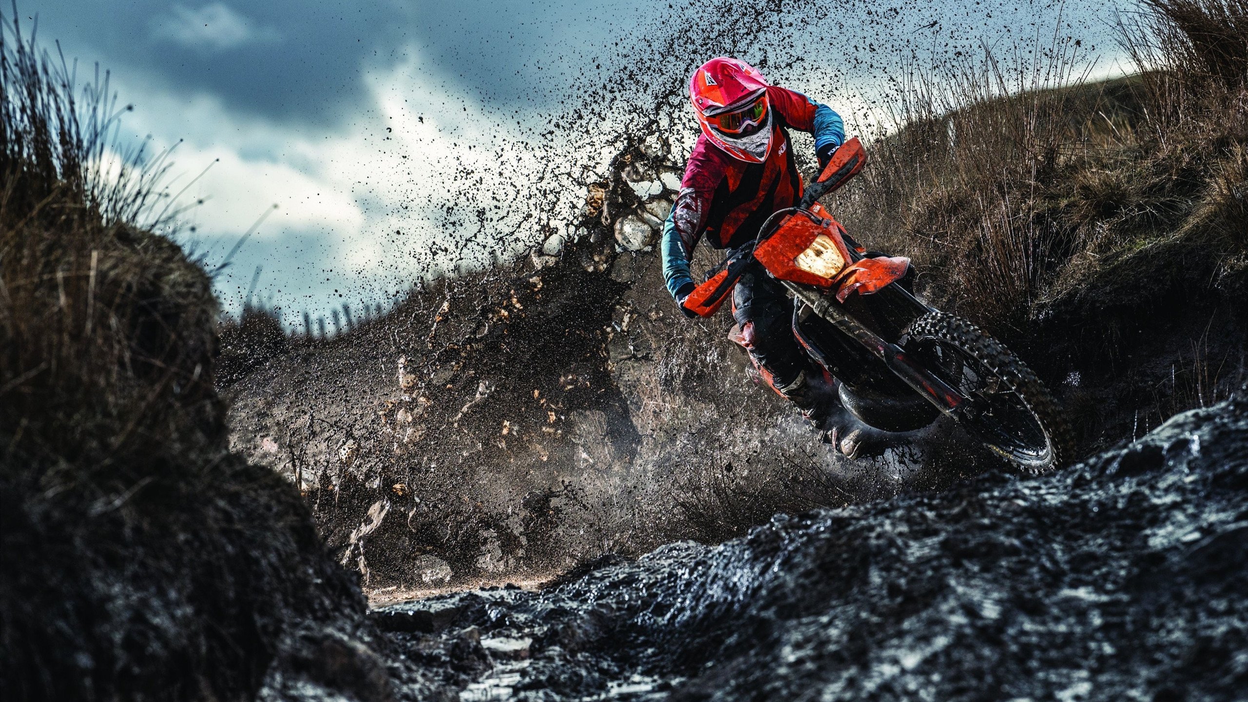 乐鱼体育(中国)官方网站-克莱尔·柯尔赞展现新生代仰泳实力，yy克莱尔